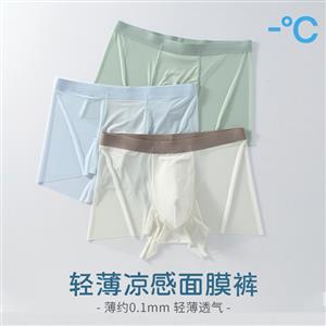 men's underwear